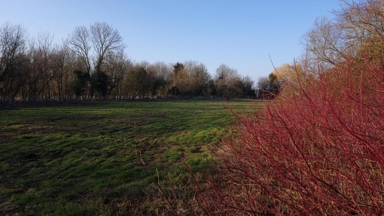 West Farm Cottage Godmanchester 外观 照片