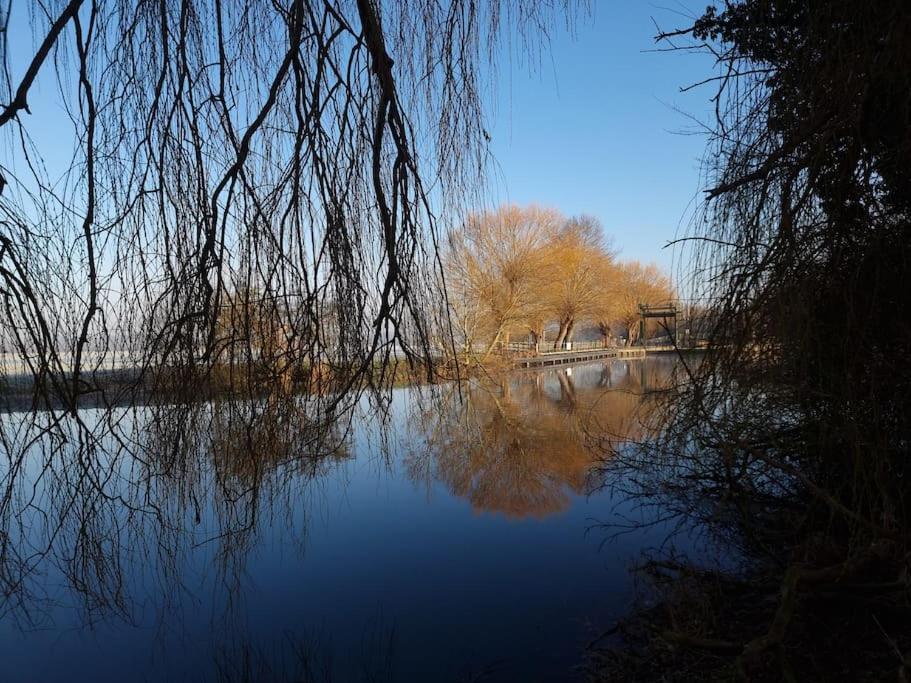 West Farm Cottage Godmanchester 外观 照片